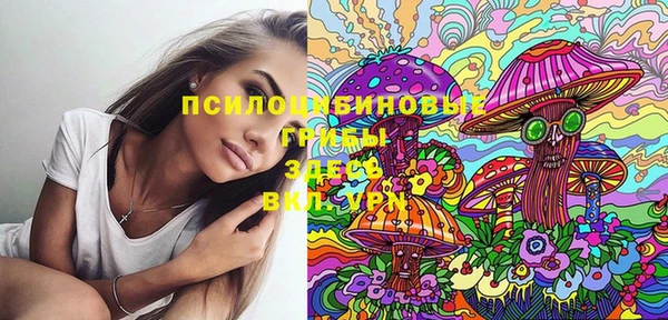 spice Алексеевка