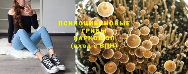 мяу мяу мука Алзамай
